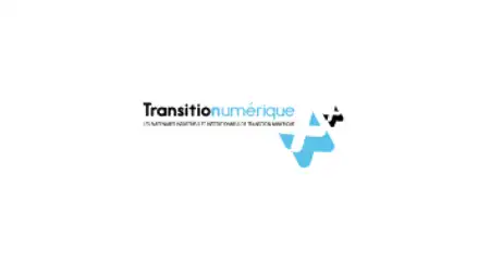 Logo Transitionumérique